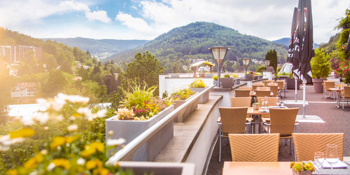 Check In mit Stephan Bode @Schwarzwald Panorama