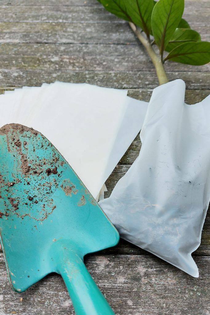 Bio-Pflanzensack - 50er Pack