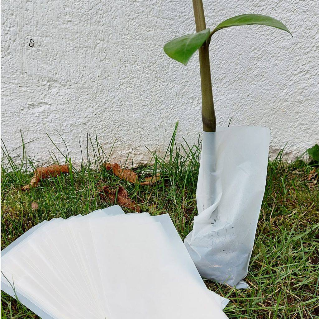 Bio-Pflanzensack - 50er Pack
